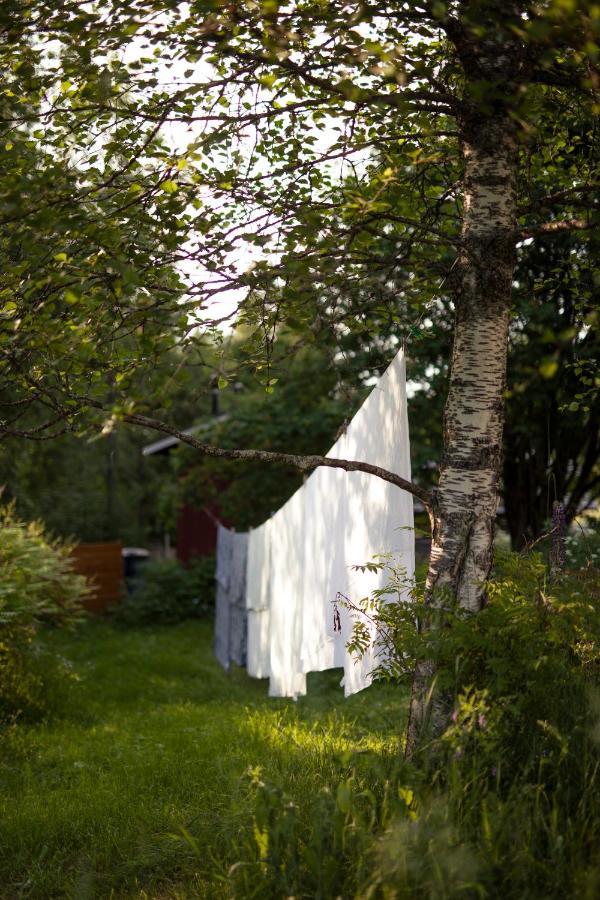 Kolin Mattila B&B Kolinkylä Exterior foto