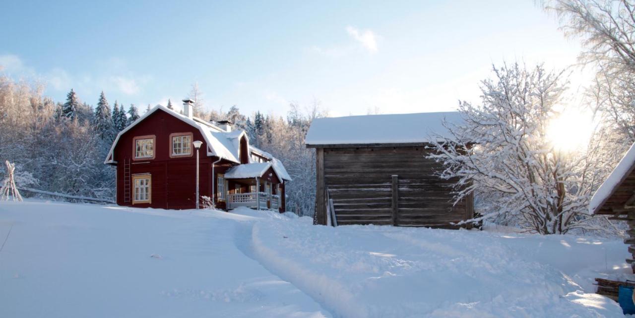 Kolin Mattila B&B Kolinkylä Exterior foto