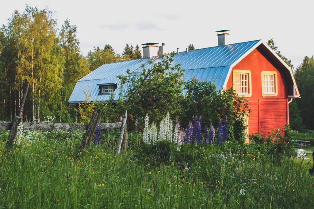 Kolin Mattila B&B Kolinkylä Exterior foto